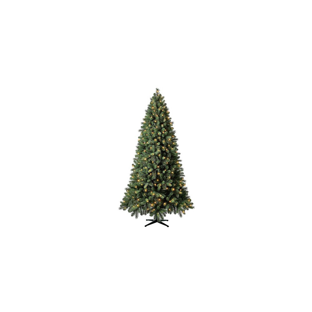 Evergreen classics norwich spruce cheap