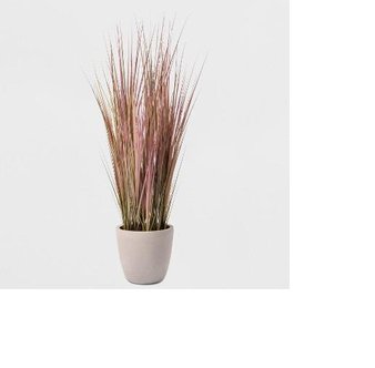 CLEARANCE! 115 Pcs – 4′ Potted Grass – Lloyd & Hannah – New – Retail ready