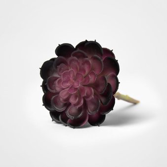 54 Pcs – Lloyd & Hannah Succulent Flower Stem Purple – New – Retail Ready