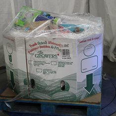 1 Pallets - 124 Pcs - New Pet Toys & Pet Supplies, Gift / Prepaid / SIM & Activation Cards, Ink, Toner, Accessories & Supplies, Other - New and New Damaged Box - Walmart