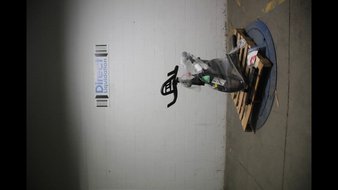1 Pallets – 1 Pcs – Exercise & Fitness – Untested Customer Returns – Walmart