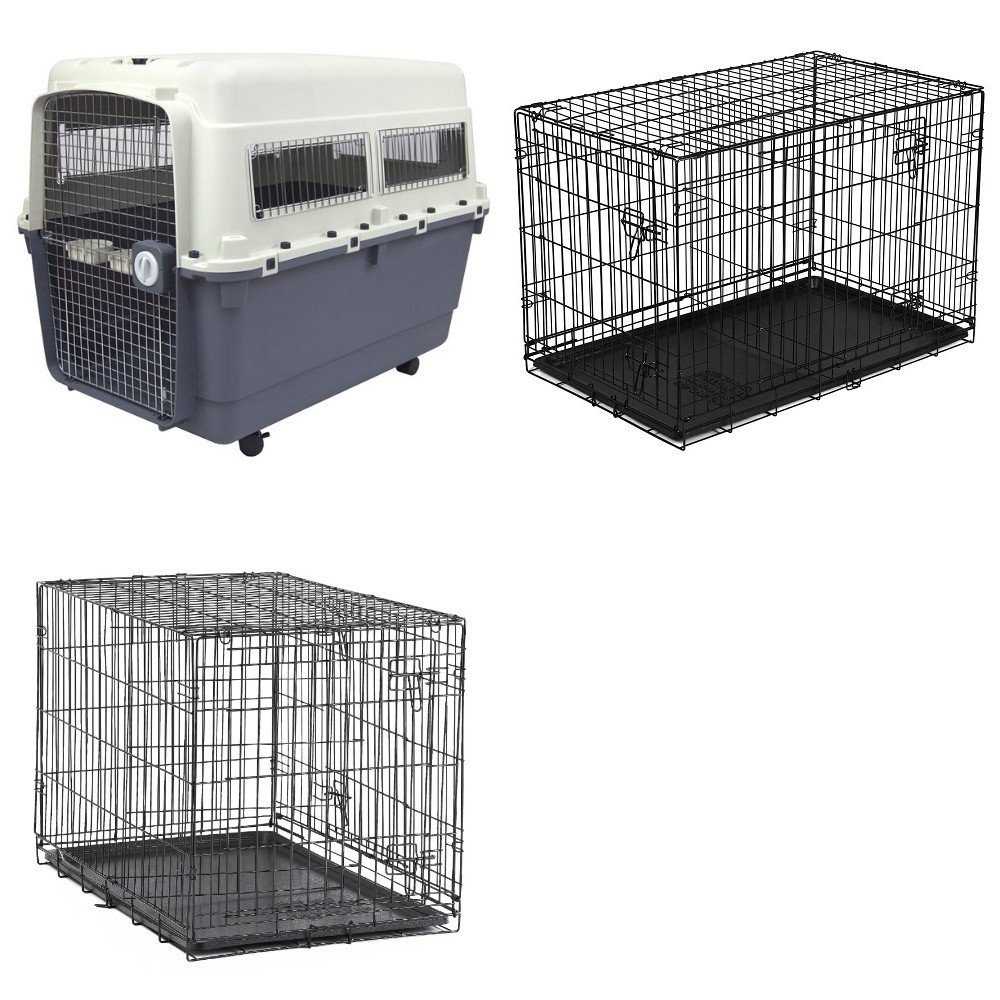Overstock pet supplies online