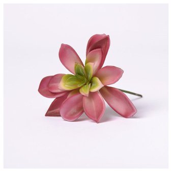 84 Pcs – Lloyd & Hannah Succulent Flower Stem Multi-Colored – New – Retail Ready